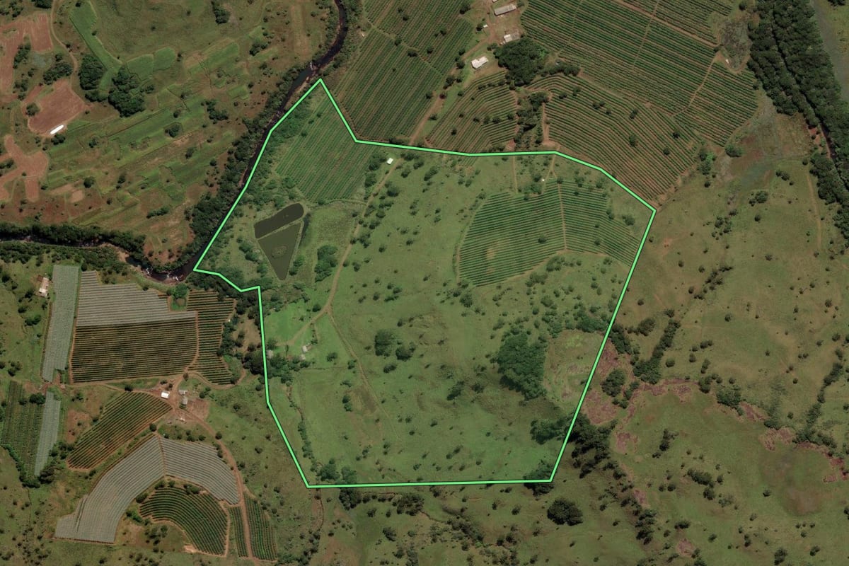 Imagem de satélite do imóvel rural em São Joaquim (SC), com o contorno declarado no CAR desenhado por cima.