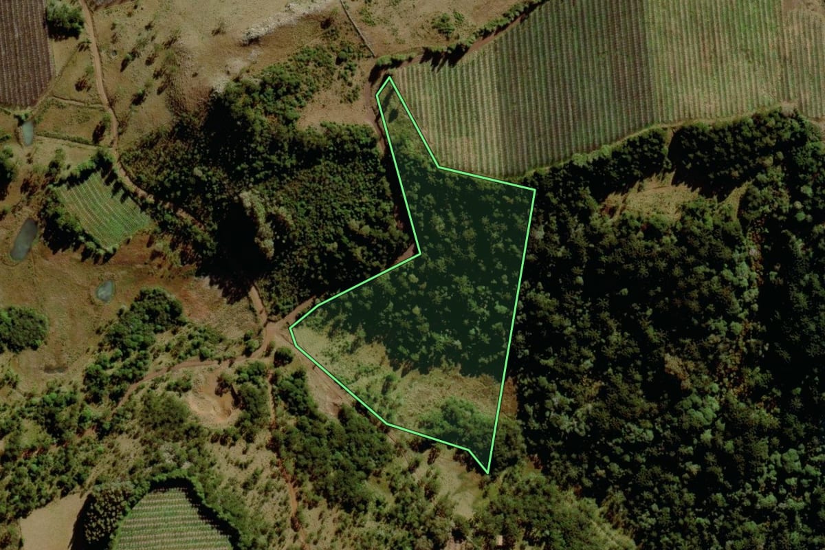 Imagem de satélite do imóvel rural em São Joaquim (SC), com o contorno declarado no CAR desenhado por cima.