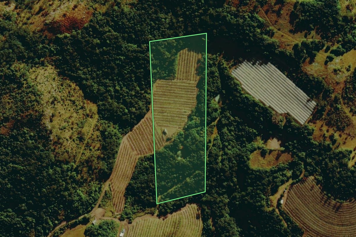 Imagem de satélite do imóvel rural em São Joaquim (SC), com o contorno declarado no CAR desenhado por cima.