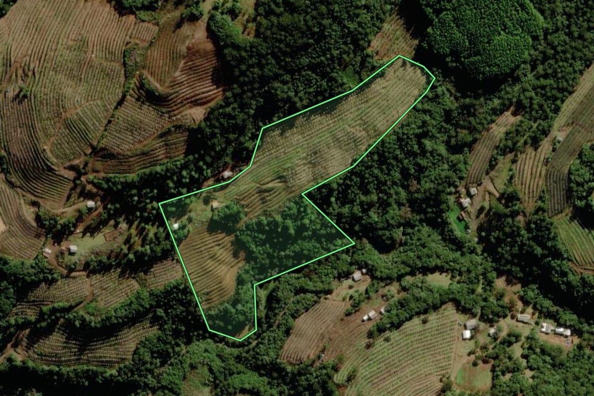 Imagem de satélite do imóvel rural em São Joaquim (SC), com o contorno declarado no CAR desenhado por cima.