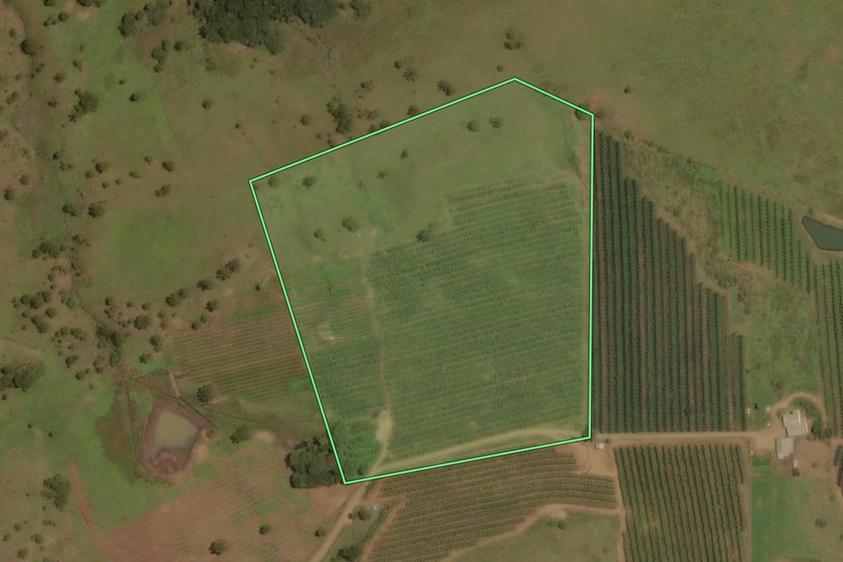 Imagem de satélite do imóvel rural em São Joaquim (SC), com o contorno declarado no CAR desenhado por cima.