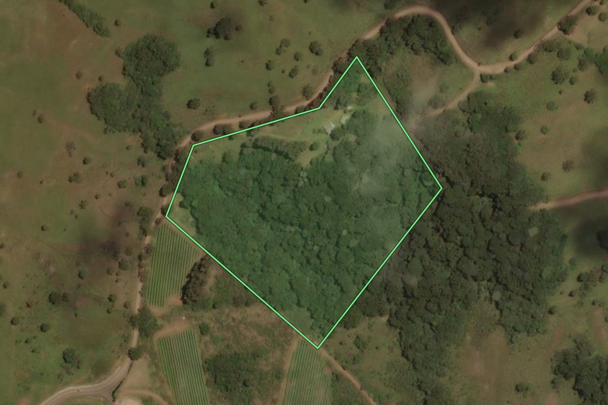 Imagem de satélite do imóvel rural em São Joaquim (SC), com o contorno declarado no CAR desenhado por cima.