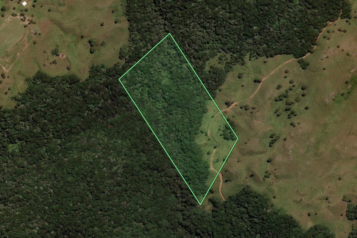 Imagem de satélite do imóvel rural em São Joaquim (SC), com o contorno declarado no CAR desenhado por cima.