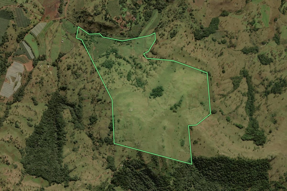Imagem de satélite do imóvel rural em São Joaquim (SC), com o contorno declarado no CAR desenhado por cima.