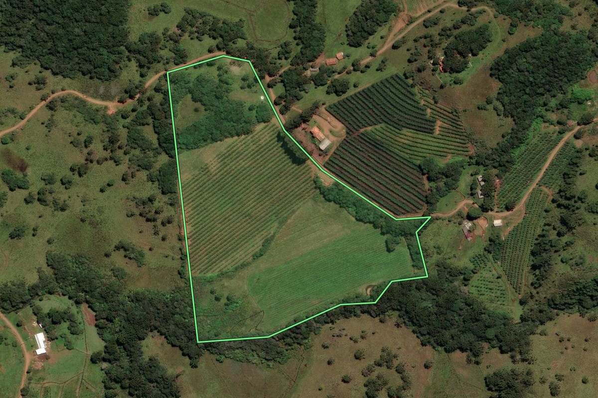 Imagem de satélite do imóvel rural em São Joaquim (SC), com o contorno declarado no CAR desenhado por cima.
