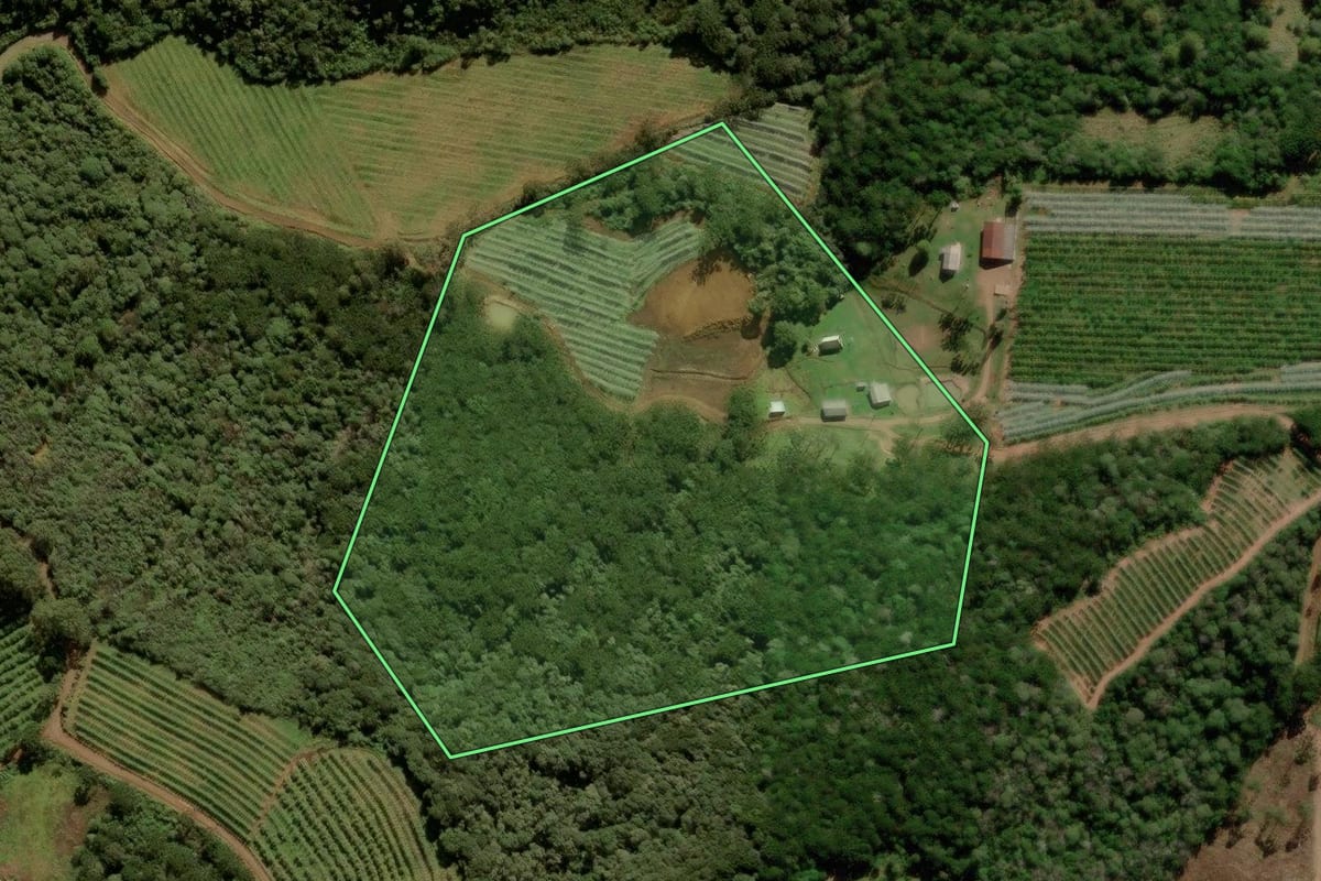 Imagem de satélite do imóvel rural em São Joaquim (SC), com o contorno declarado no CAR desenhado por cima.