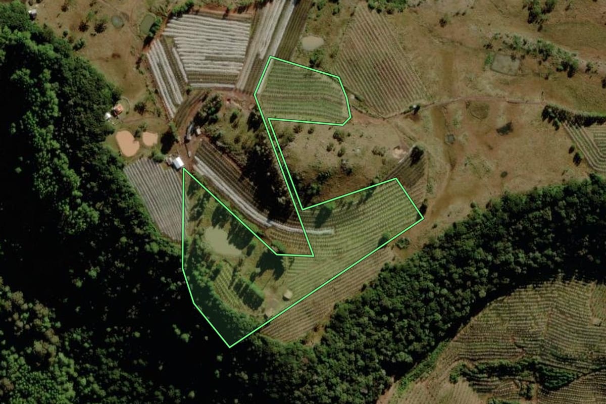Imagem de satélite do imóvel rural em São Joaquim (SC), com o contorno declarado no CAR desenhado por cima.