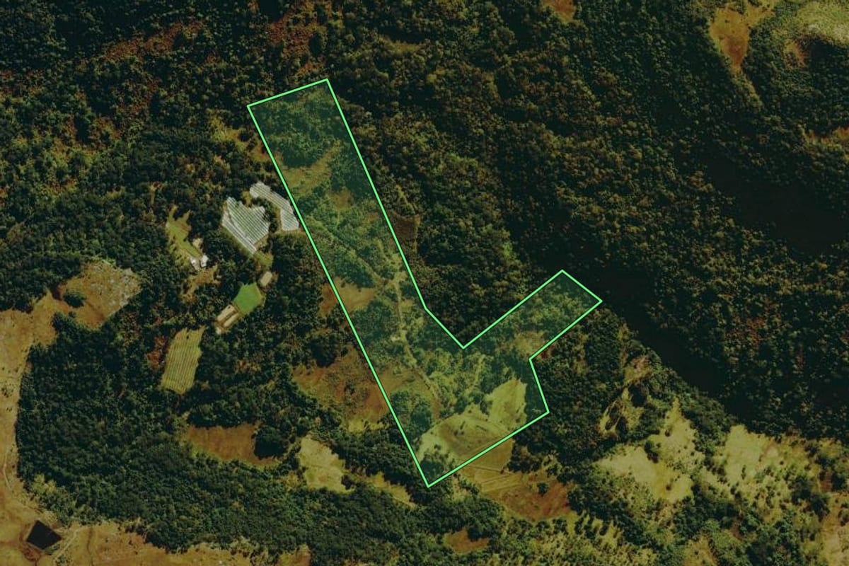 Imagem de satélite do imóvel rural em São Joaquim (SC), com o contorno declarado no CAR desenhado por cima.
