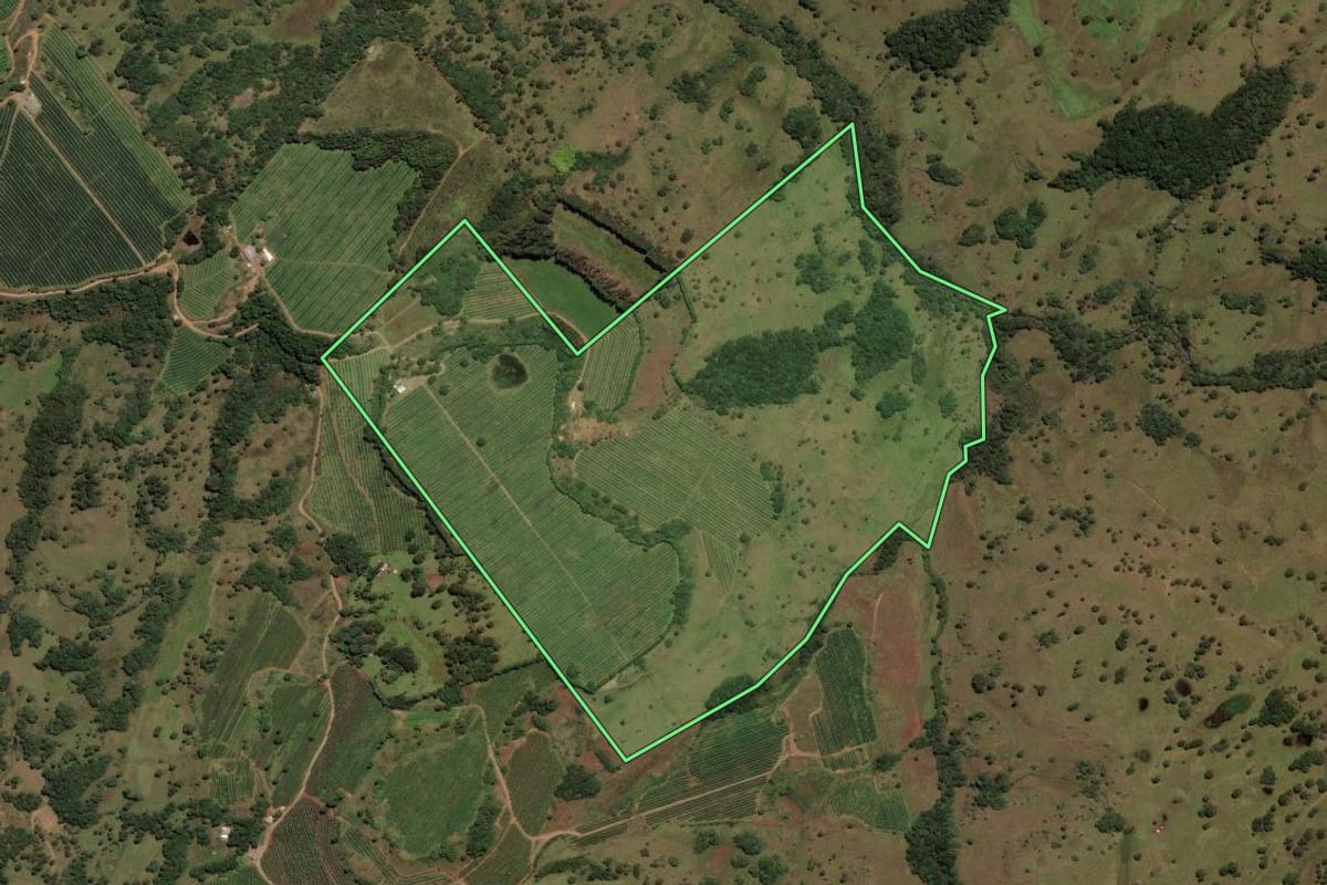 Imagem de satélite do imóvel rural em São Joaquim (SC), com o contorno declarado no CAR desenhado por cima.