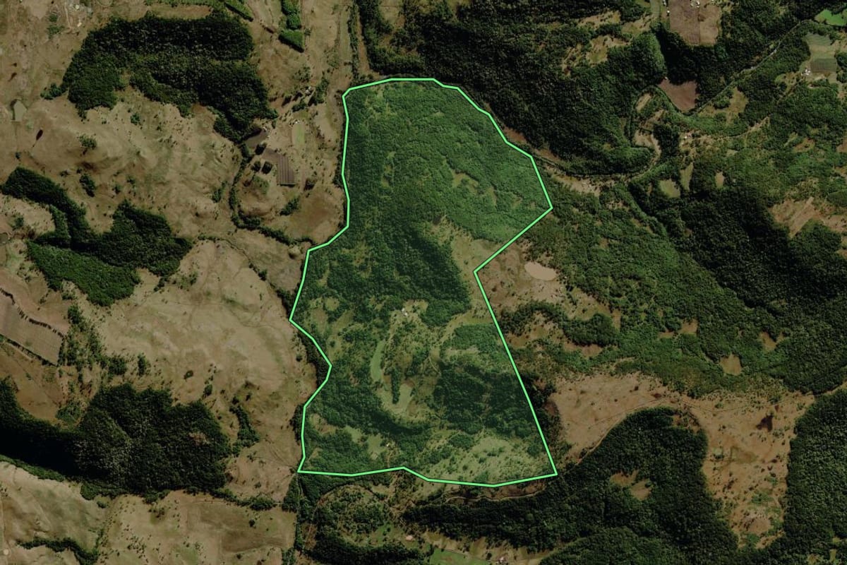 Imagem de satélite do imóvel rural em São Joaquim (SC), com o contorno declarado no CAR desenhado por cima.