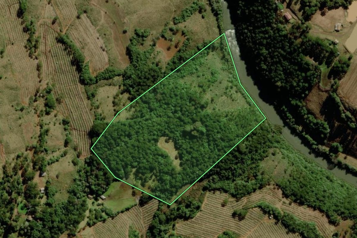 Imagem de satélite do imóvel rural em São Joaquim (SC), com o contorno declarado no CAR desenhado por cima.