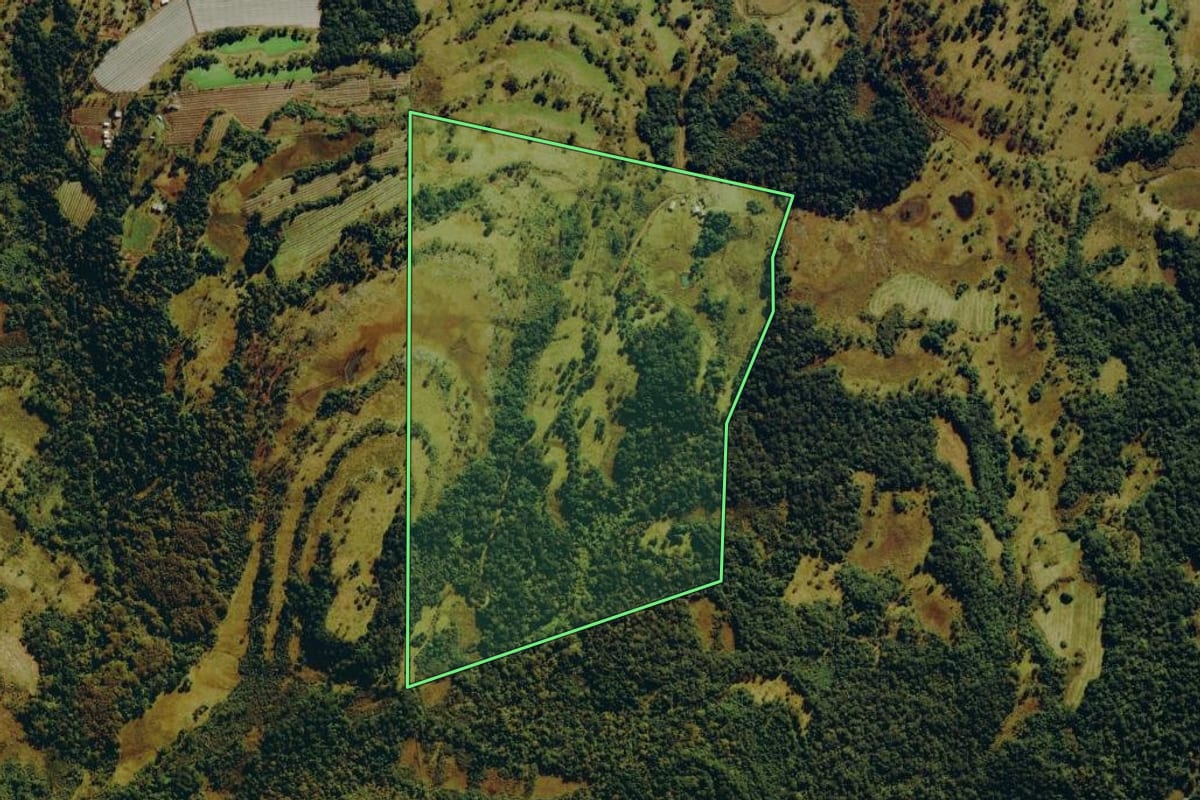 Imagem de satélite do imóvel rural em São Joaquim (SC), com o contorno declarado no CAR desenhado por cima.