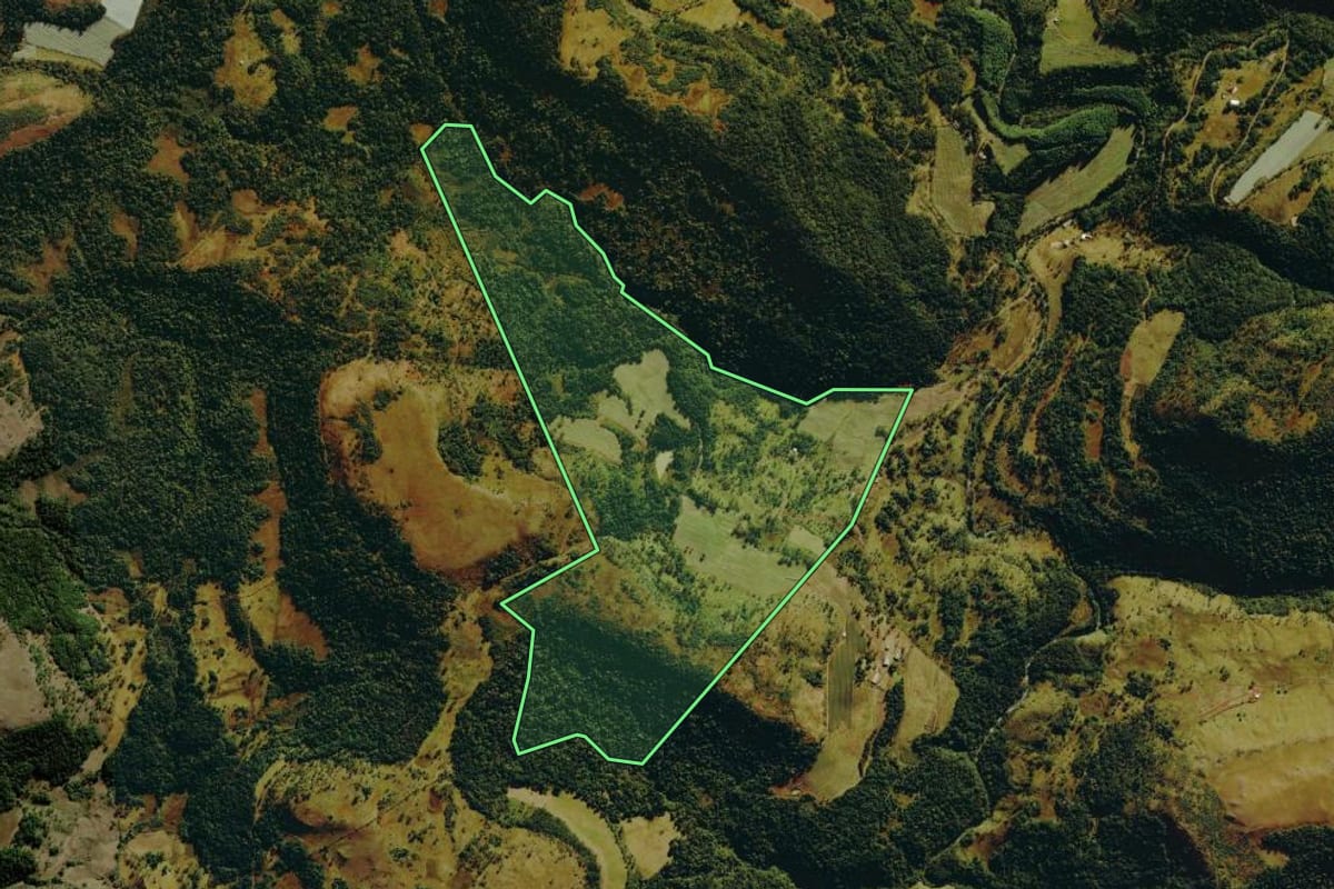 Imagem de satélite do imóvel rural em São Joaquim (SC), com o contorno declarado no CAR desenhado por cima.