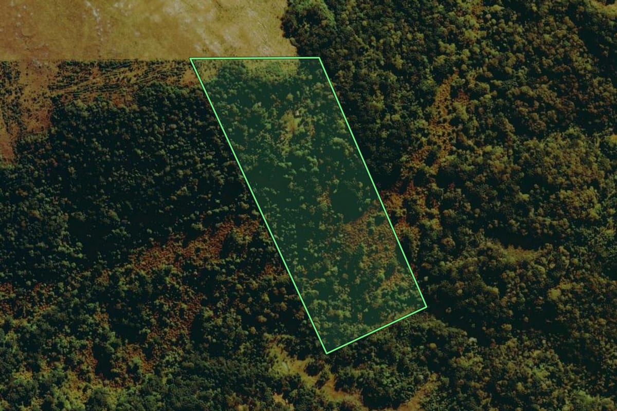 Imagem de satélite do imóvel rural em São Joaquim (SC), com o contorno declarado no CAR desenhado por cima.