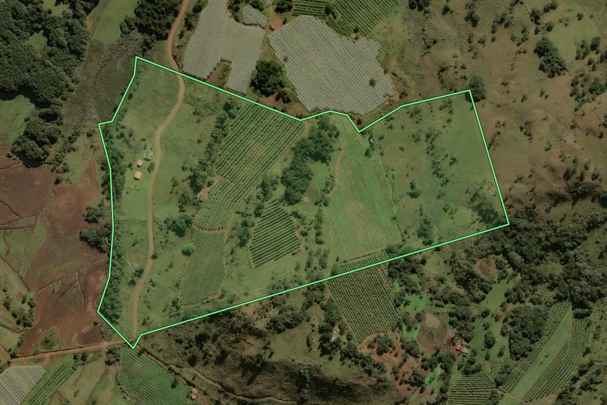 Imagem de satélite do imóvel rural em São Joaquim (SC), com o contorno declarado no CAR desenhado por cima.