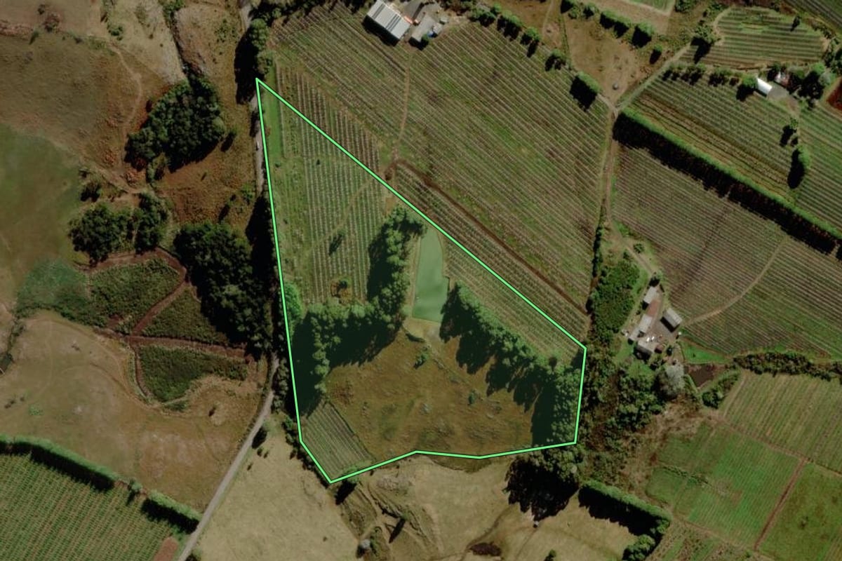 Imagem de satélite do imóvel rural em São Joaquim (SC), com o contorno declarado no CAR desenhado por cima.