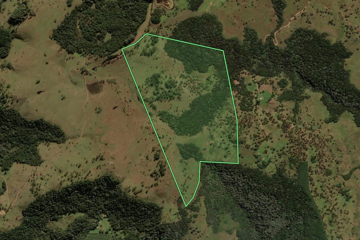 Imagem de satélite do imóvel rural em São Joaquim (SC), com o contorno declarado no CAR desenhado por cima.