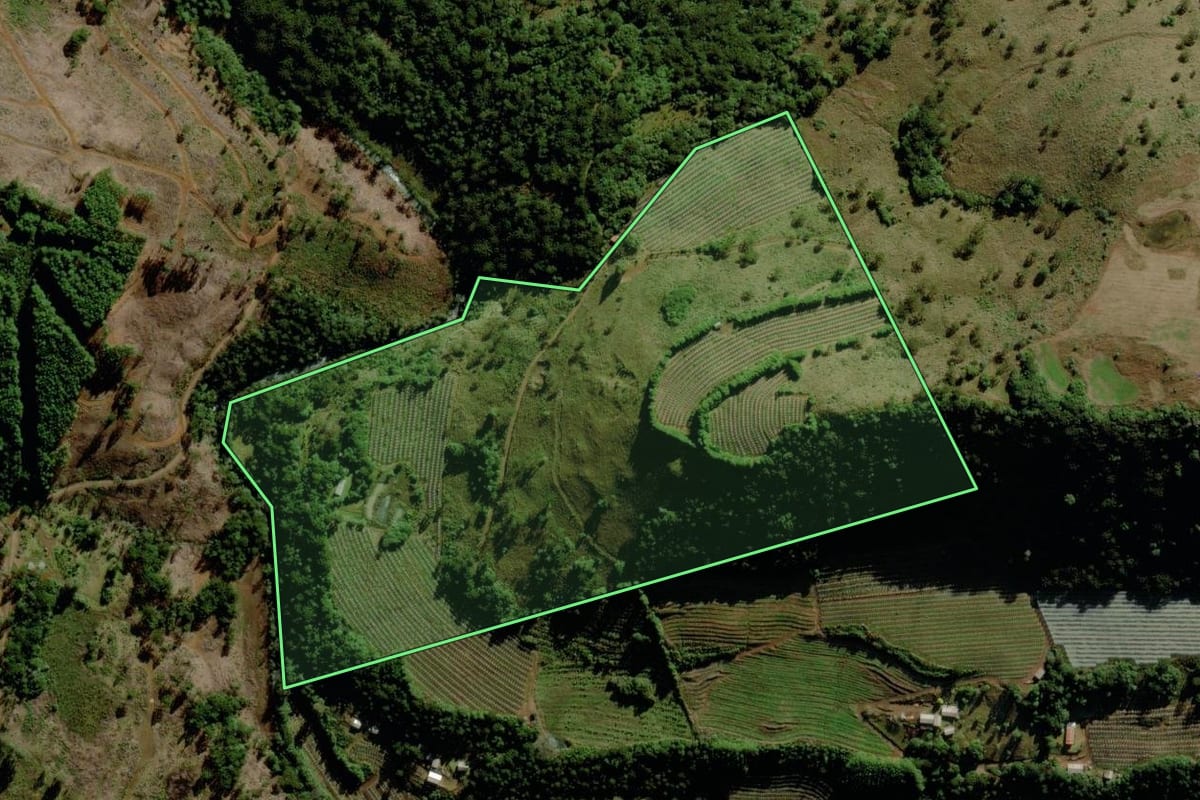 Imagem de satélite do imóvel rural em São Joaquim (SC), com o contorno declarado no CAR desenhado por cima.