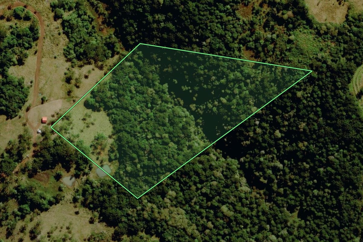 Imagem de satélite do imóvel rural em São Joaquim (SC), com o contorno declarado no CAR desenhado por cima.
