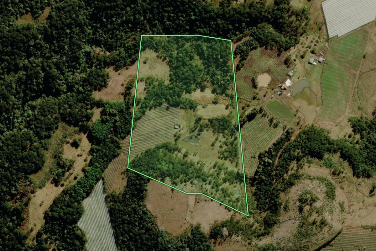 Imagem de satélite do imóvel rural em São Joaquim (SC), com o contorno declarado no CAR desenhado por cima.