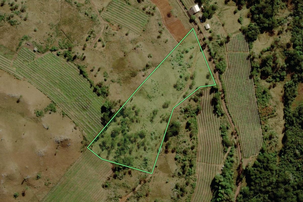 Imagem de satélite do imóvel rural em São Joaquim (SC), com o contorno declarado no CAR desenhado por cima.