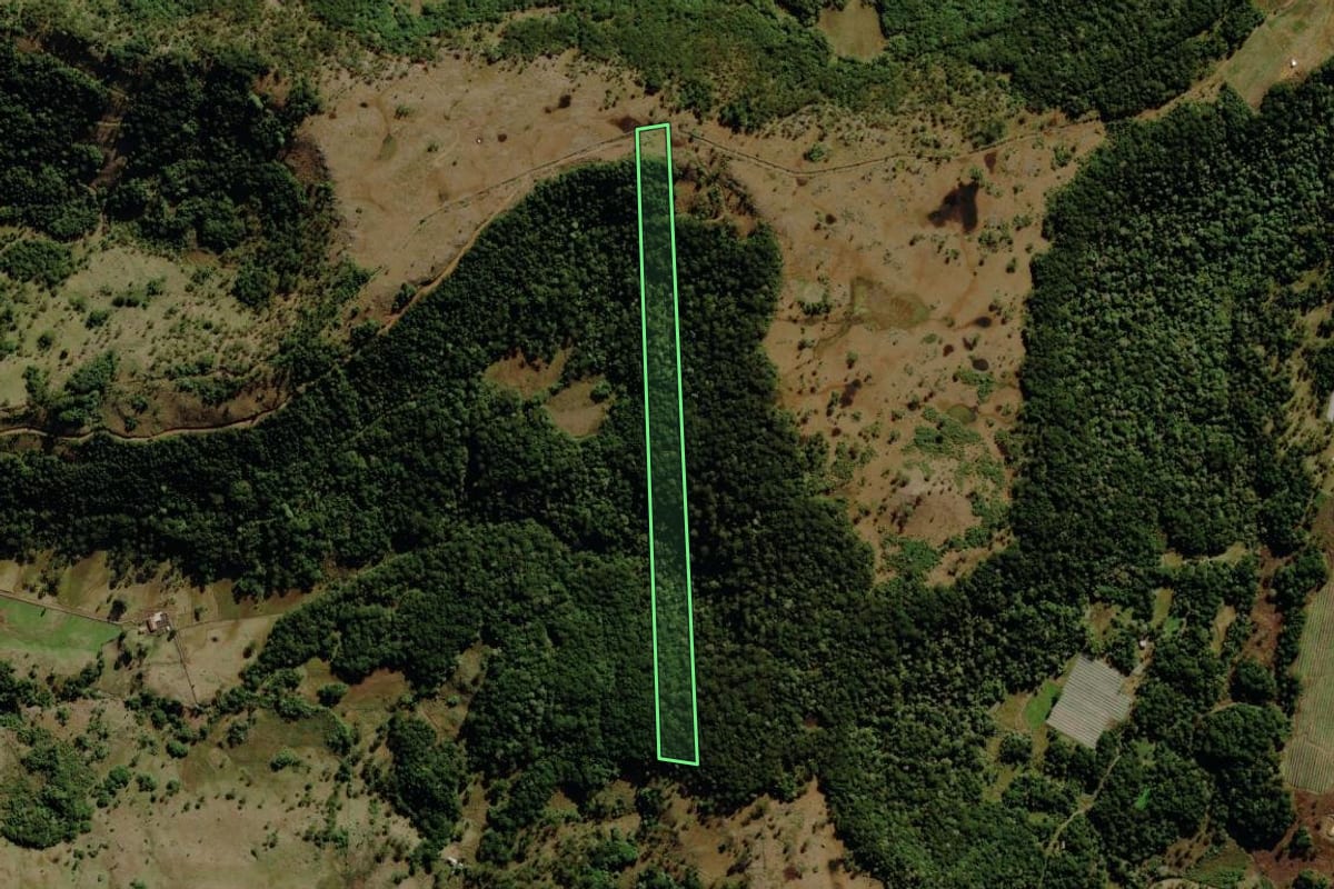 Imagem de satélite do imóvel rural em São Joaquim (SC), com o contorno declarado no CAR desenhado por cima.