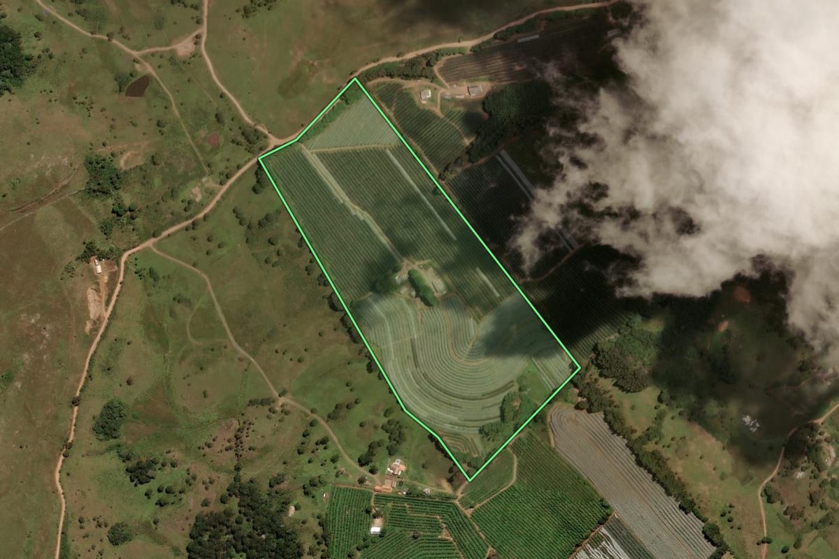 Imagem de satélite do imóvel rural em São Joaquim (SC), com o contorno declarado no CAR desenhado por cima.