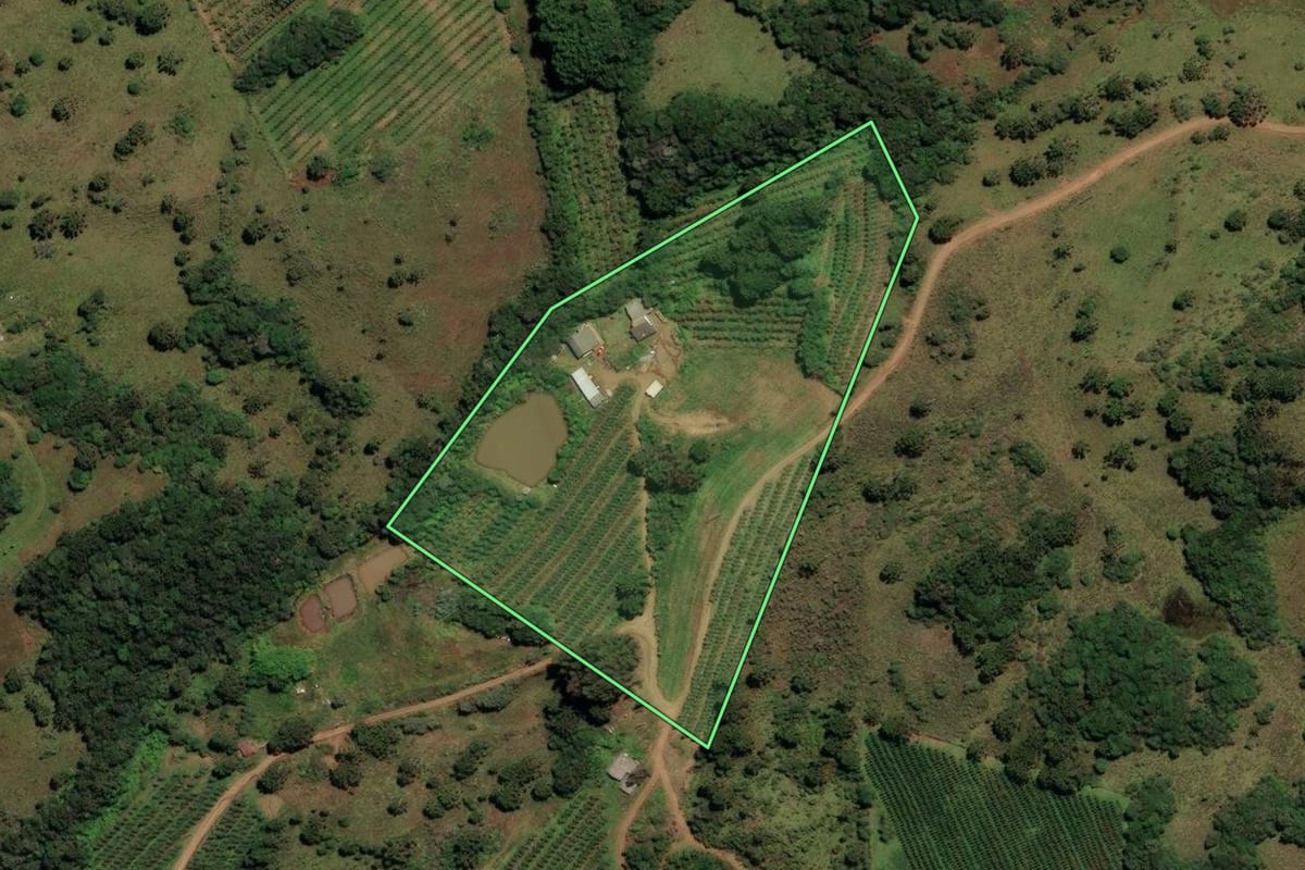 Imagem de satélite do imóvel rural em São Joaquim (SC), com o contorno declarado no CAR desenhado por cima.