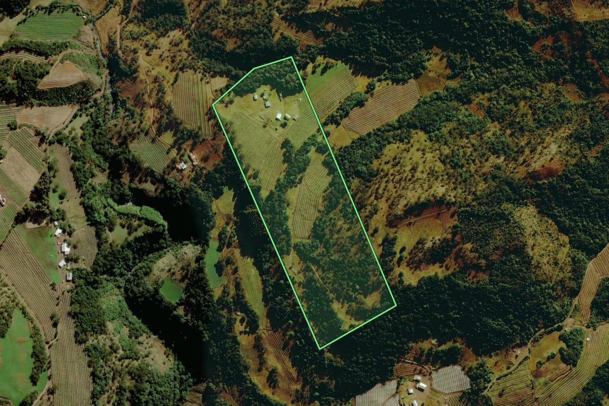Imagem de satélite do imóvel rural em São Joaquim (SC), com o contorno declarado no CAR desenhado por cima.