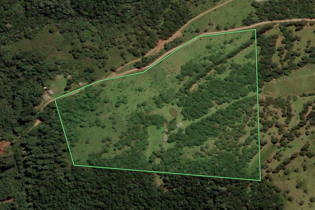 Imagem de satélite do imóvel rural em São Joaquim (SC), com o contorno declarado no CAR desenhado por cima.