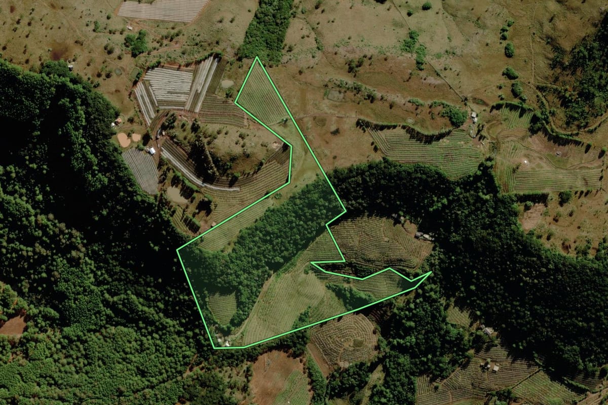 Imagem de satélite do imóvel rural em São Joaquim (SC), com o contorno declarado no CAR desenhado por cima.