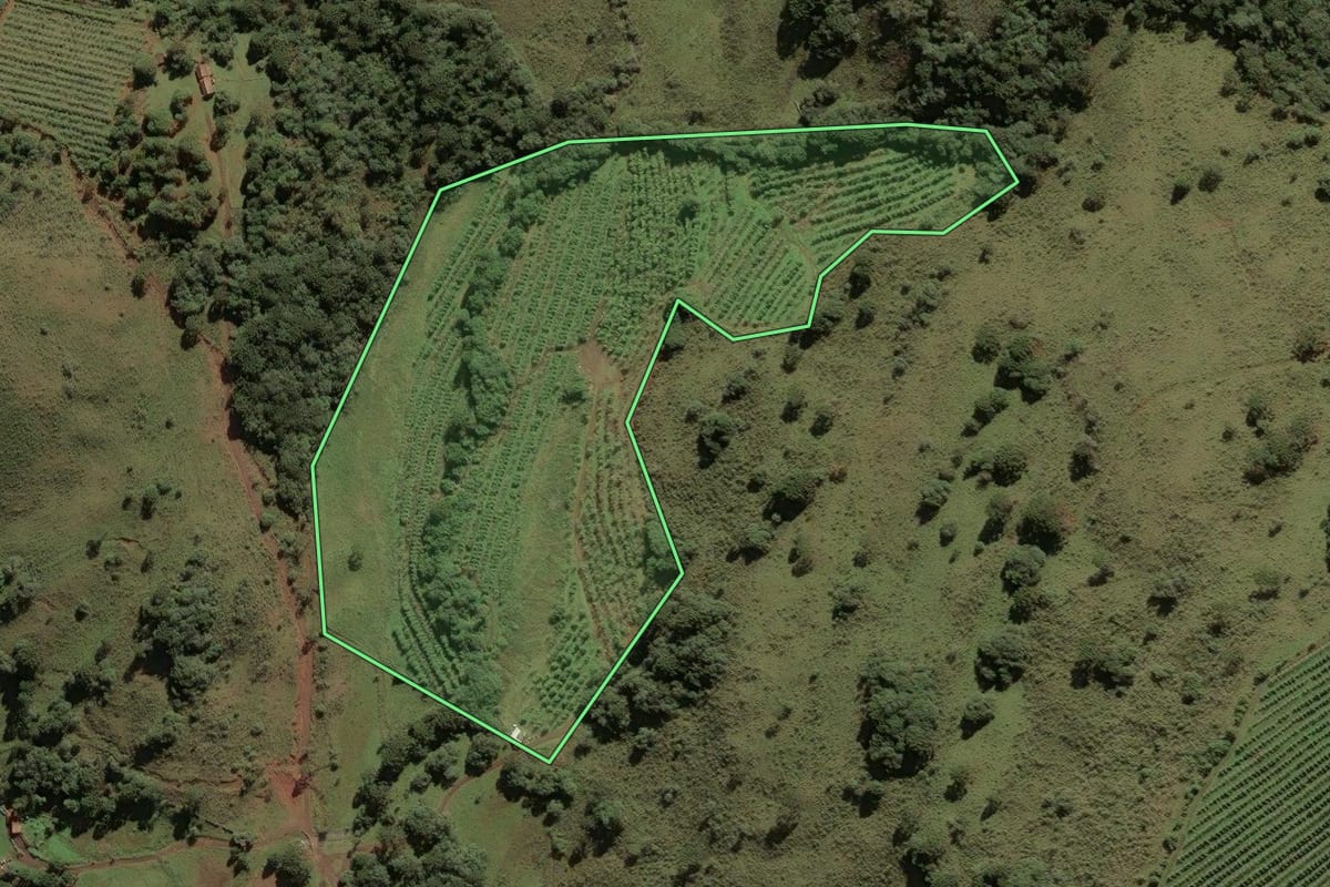 Imagem de satélite do imóvel rural em São Joaquim (SC), com o contorno declarado no CAR desenhado por cima.