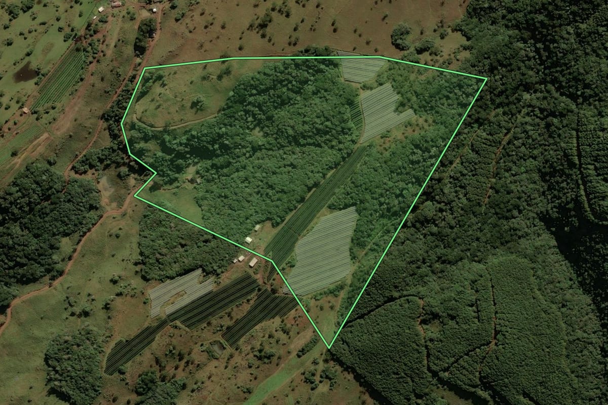 Imagem de satélite do imóvel rural em São Joaquim (SC), com o contorno declarado no CAR desenhado por cima.