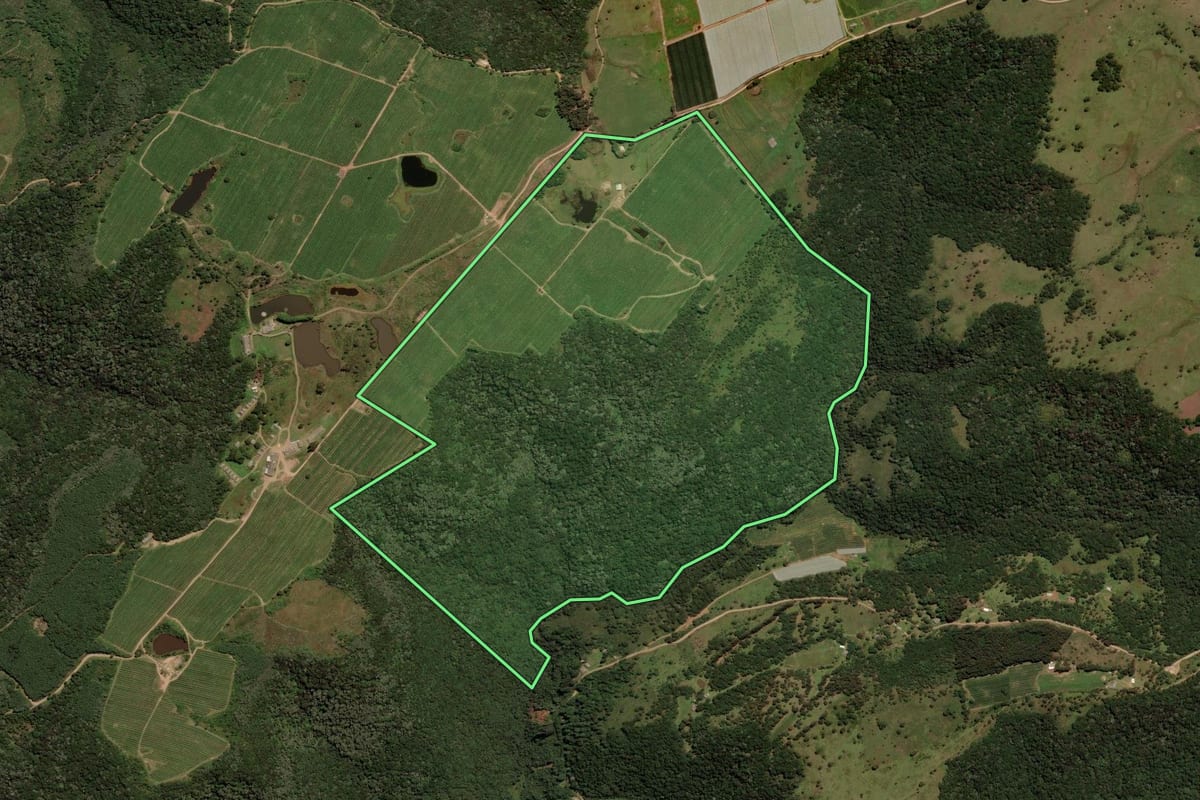 Imagem de satélite do imóvel rural em São Joaquim (SC), com o contorno declarado no CAR desenhado por cima.