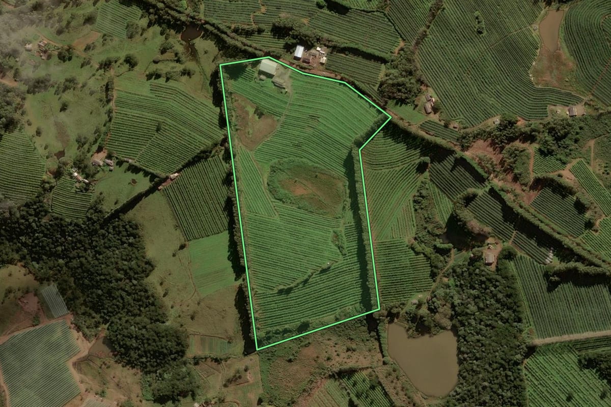 Imagem de satélite do imóvel rural em São Joaquim (SC), com o contorno declarado no CAR desenhado por cima.