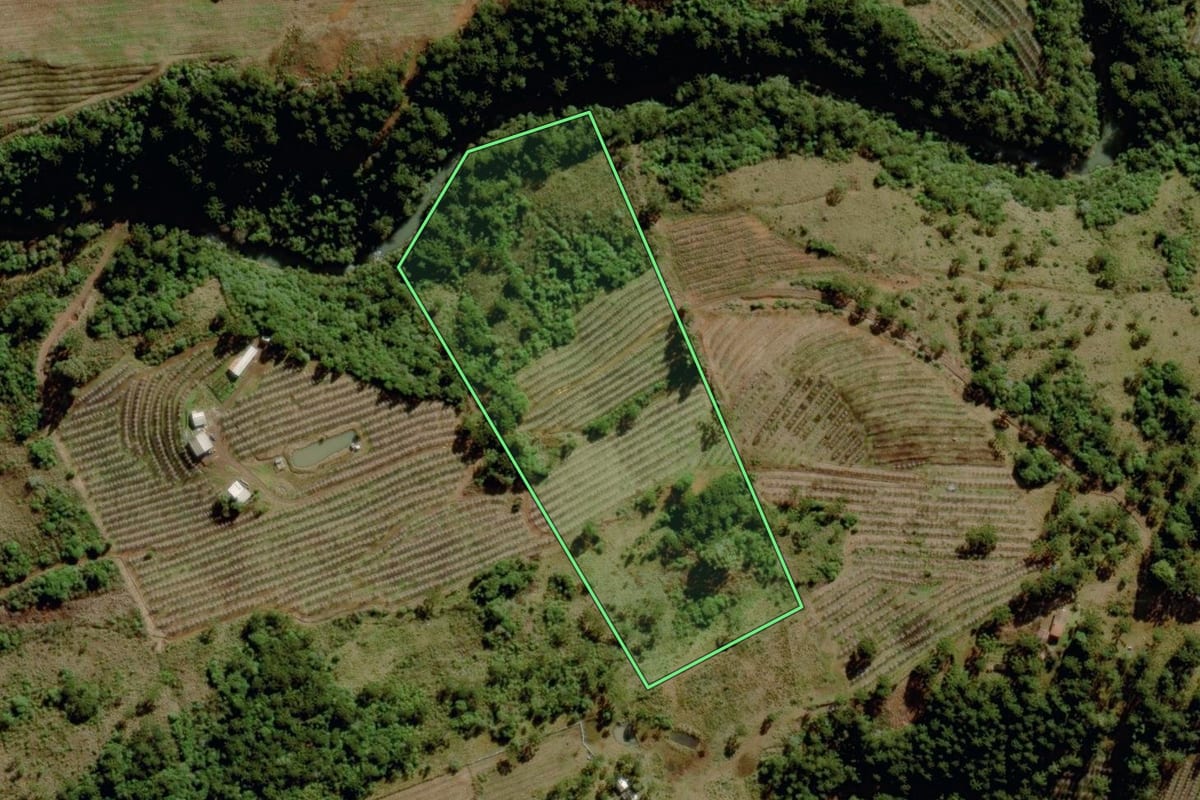 Imagem de satélite do imóvel rural em São Joaquim (SC), com o contorno declarado no CAR desenhado por cima.