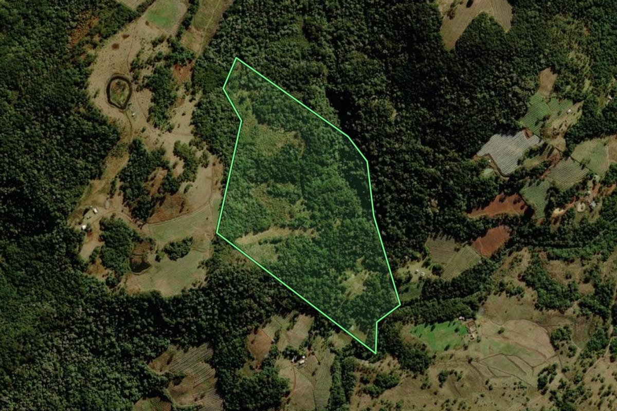 Imagem de satélite do imóvel rural em São Joaquim (SC), com o contorno declarado no CAR desenhado por cima.