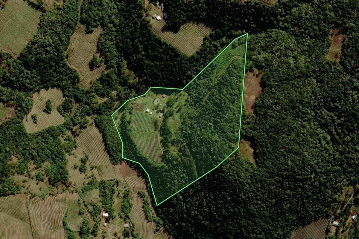 Imagem de satélite do imóvel rural em São Joaquim (SC), com o contorno declarado no CAR desenhado por cima.