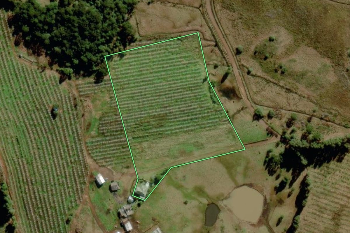 Imagem de satélite do imóvel rural em São Joaquim (SC), com o contorno declarado no CAR desenhado por cima.