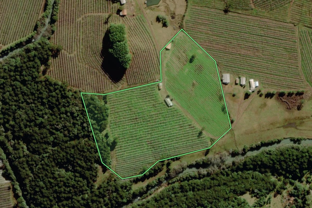 Imagem de satélite do imóvel rural em São Joaquim (SC), com o contorno declarado no CAR desenhado por cima.