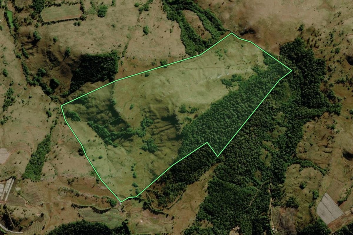 Imagem de satélite do imóvel rural em São Joaquim (SC), com o contorno declarado no CAR desenhado por cima.