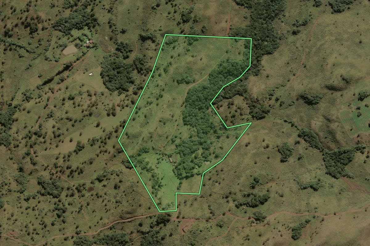 Imagem de satélite do imóvel rural em São Joaquim (SC), com o contorno declarado no CAR desenhado por cima.