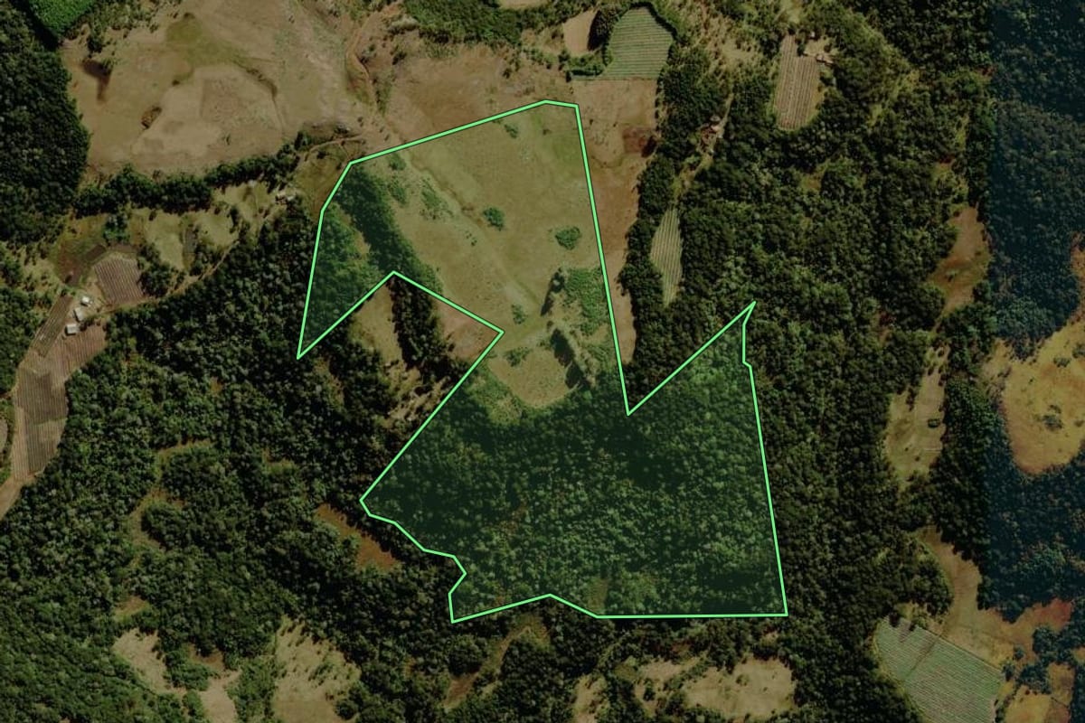 Imagem de satélite do imóvel rural em São Joaquim (SC), com o contorno declarado no CAR desenhado por cima.