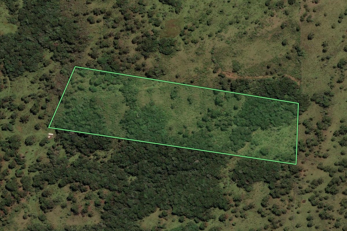 Imagem de satélite do imóvel rural em São Joaquim (SC), com o contorno declarado no CAR desenhado por cima.