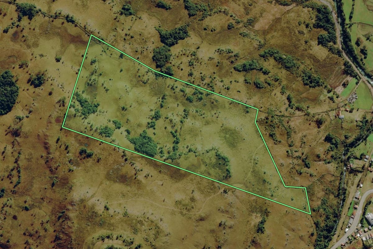 Imagem de satélite do imóvel rural em São Joaquim (SC), com o contorno declarado no CAR desenhado por cima.