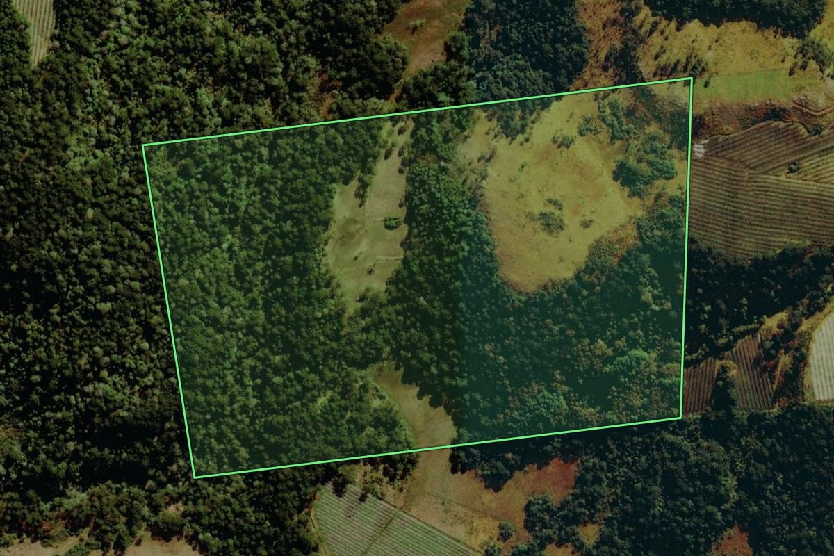 Imagem de satélite do imóvel rural em São Joaquim (SC), com o contorno declarado no CAR desenhado por cima.