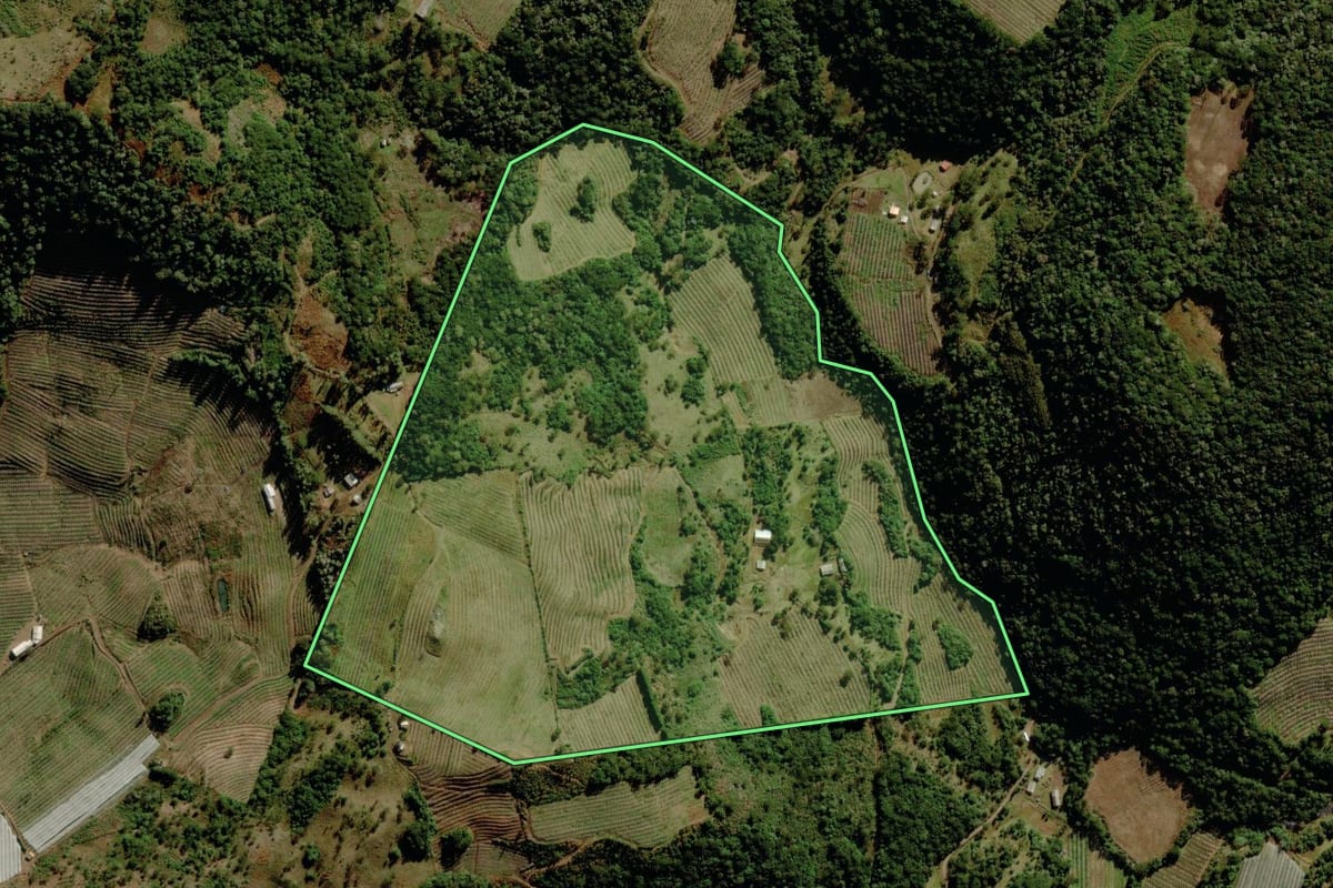 Imagem de satélite do imóvel rural em São Joaquim (SC), com o contorno declarado no CAR desenhado por cima.