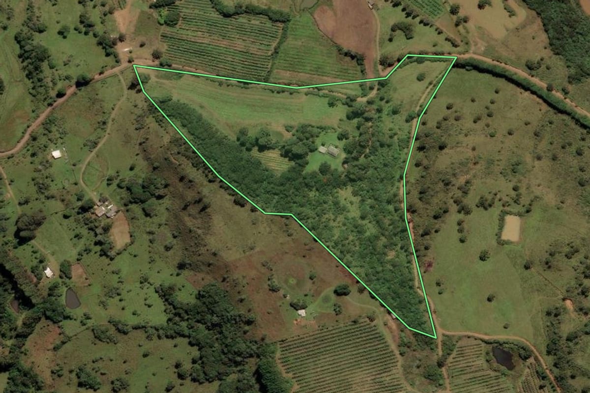 Imagem de satélite do imóvel rural em São Joaquim (SC), com o contorno declarado no CAR desenhado por cima.
