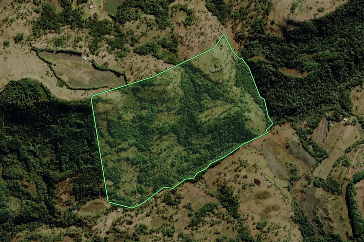 Imagem de satélite do imóvel rural em São Joaquim (SC), com o contorno declarado no CAR desenhado por cima.