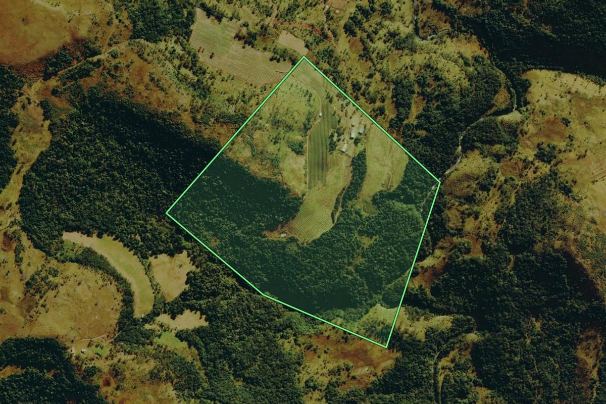 Imagem de satélite do imóvel rural em São Joaquim (SC), com o contorno declarado no CAR desenhado por cima.